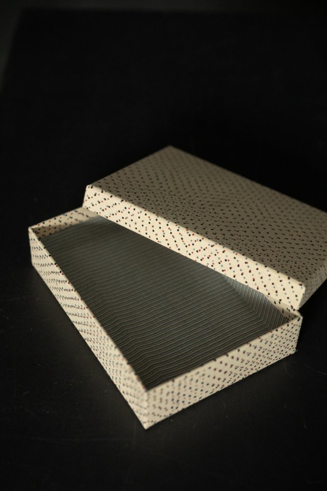 Curios Box - Paint Speckles & Etienne